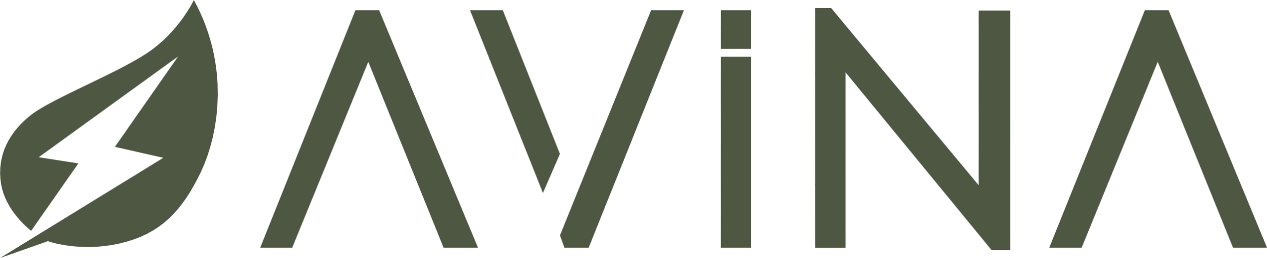 Avina Inc.