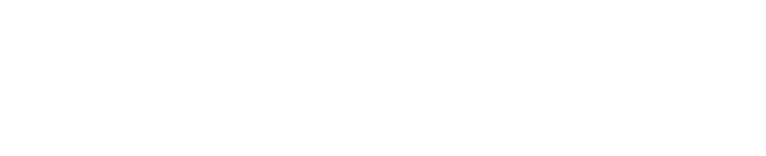 Avina Inc.